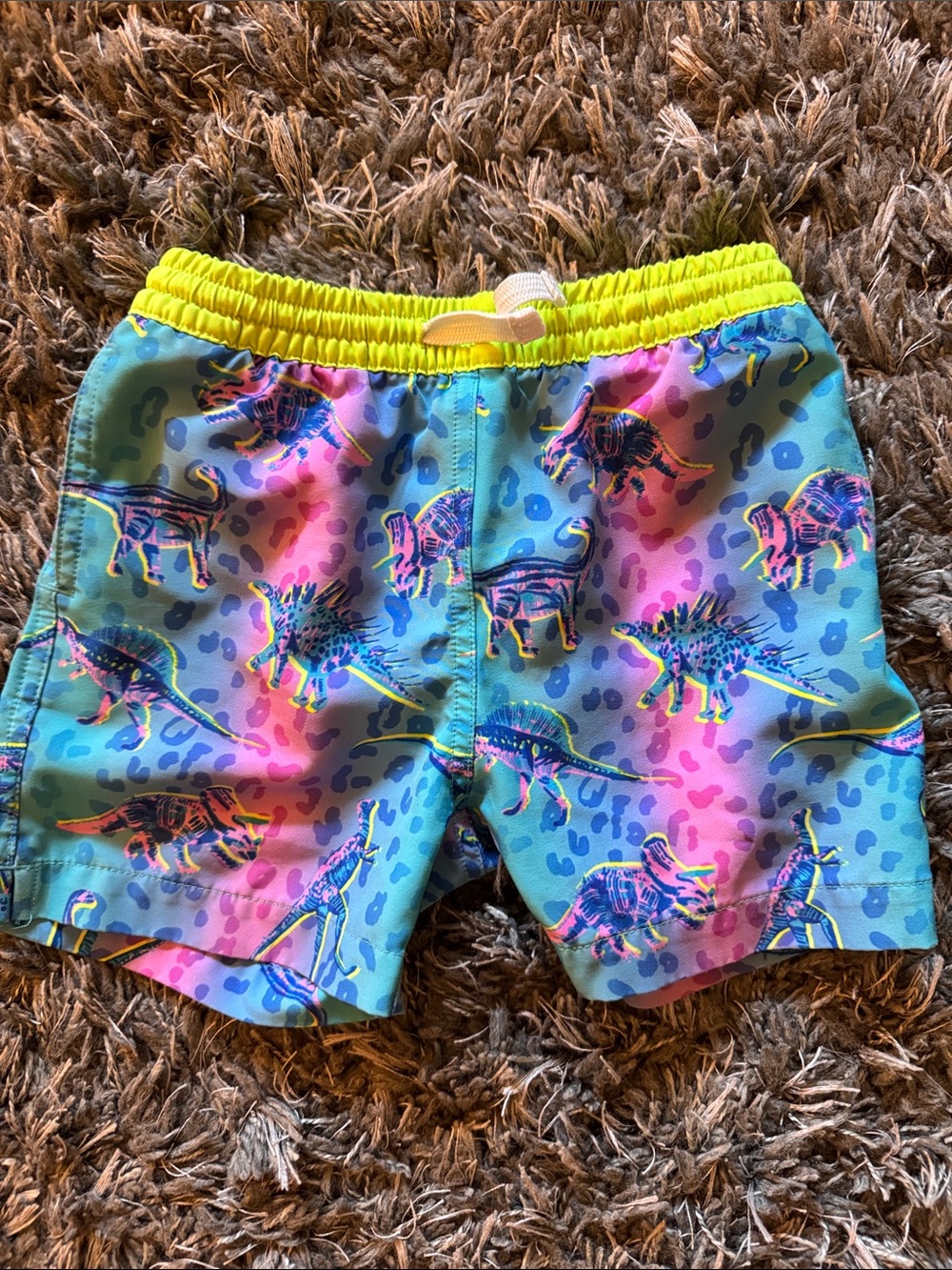 Kids Neon Dinosaur Chubbies Swim Shorts - Blue & Pink